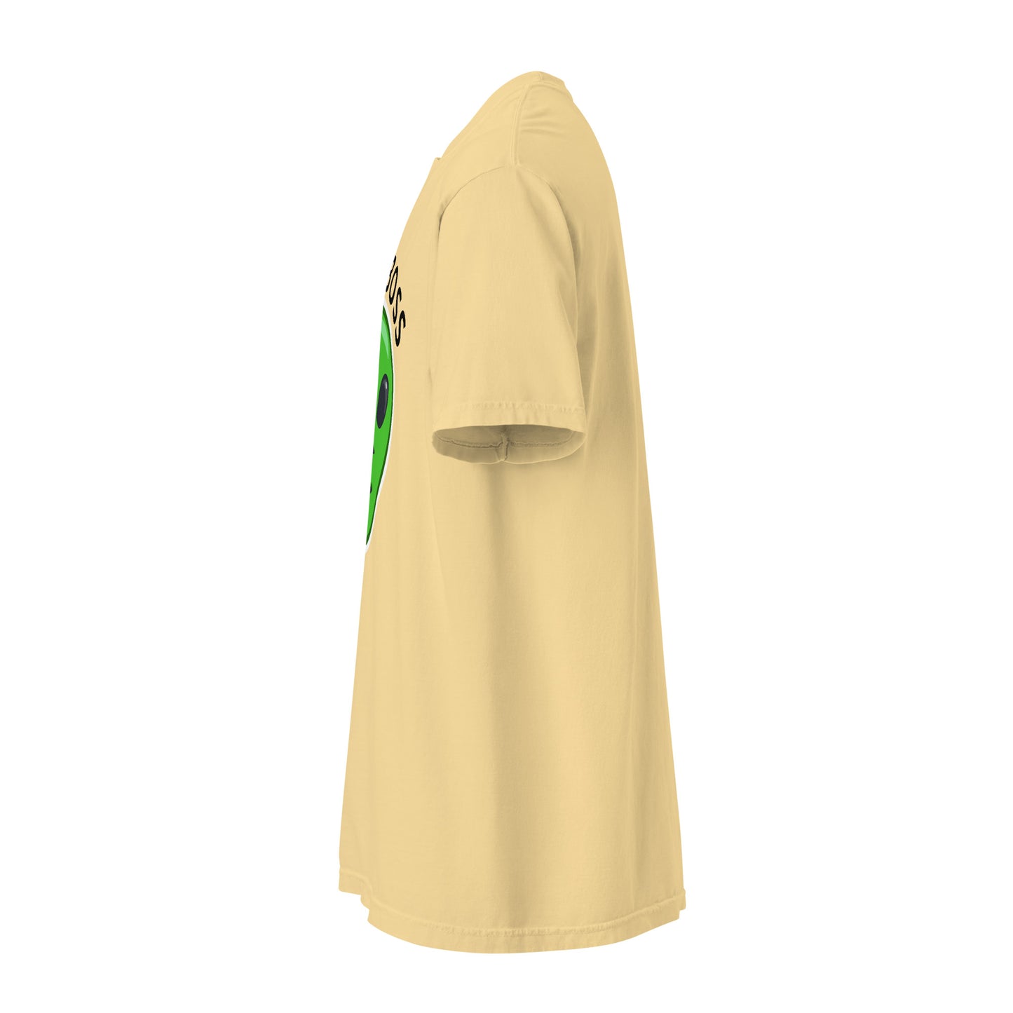 Unisex garment-dyed heavyweight t-shirt